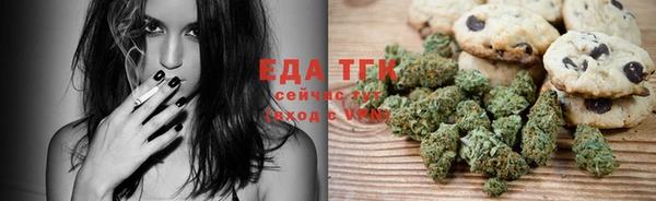 крисы Абаза