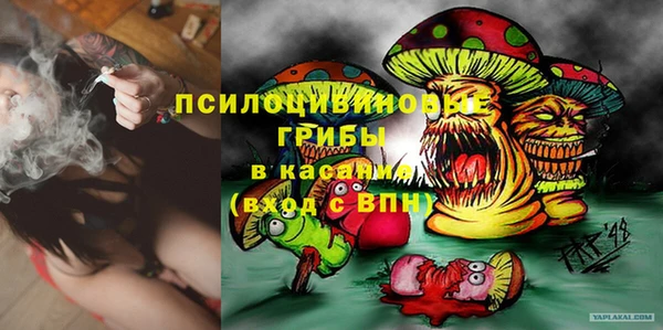 дживик Протвино